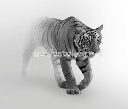 картинка Картина Тигр  63*63 см, микровелюр от магазина Восточные сувениры